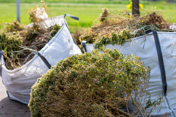 Attic Cleanout Services in Hazel Park, MI