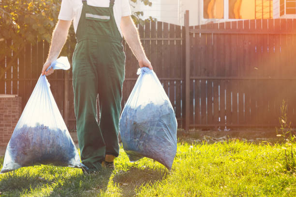 Best Local Junk Hauling  in Hazel Park, MI