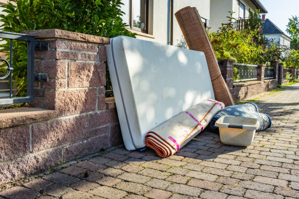 Best Electronics Removal Services  in Hazel Park, MI